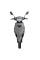Скутер Forte Unicorn