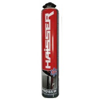 Haisser PRO 65W 